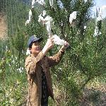 �������